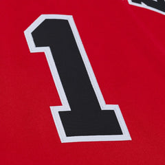 Red Derrick Rose Chicago Bulls 2008-09 Authentic Jersey sale | NBA