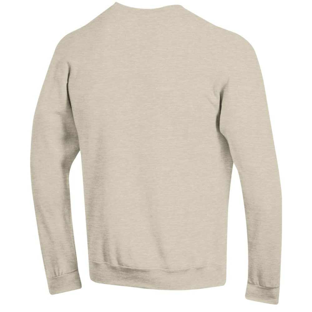 Tampa Bay Rays Champion Eco Powerblend Sweatshirt - MLB Sweatshirts