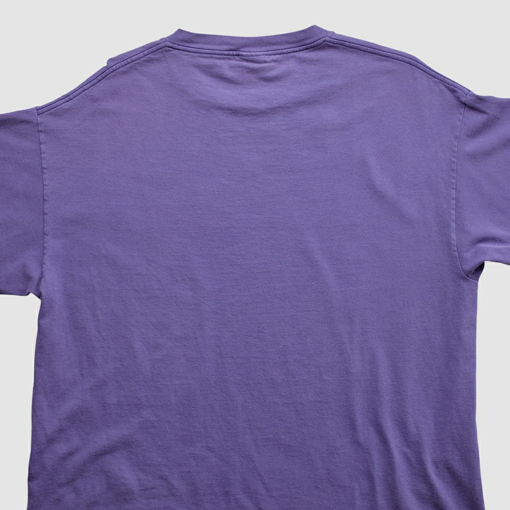Minnesota Vikings Lee Apparel 2000s T-shirt | NFL Hot