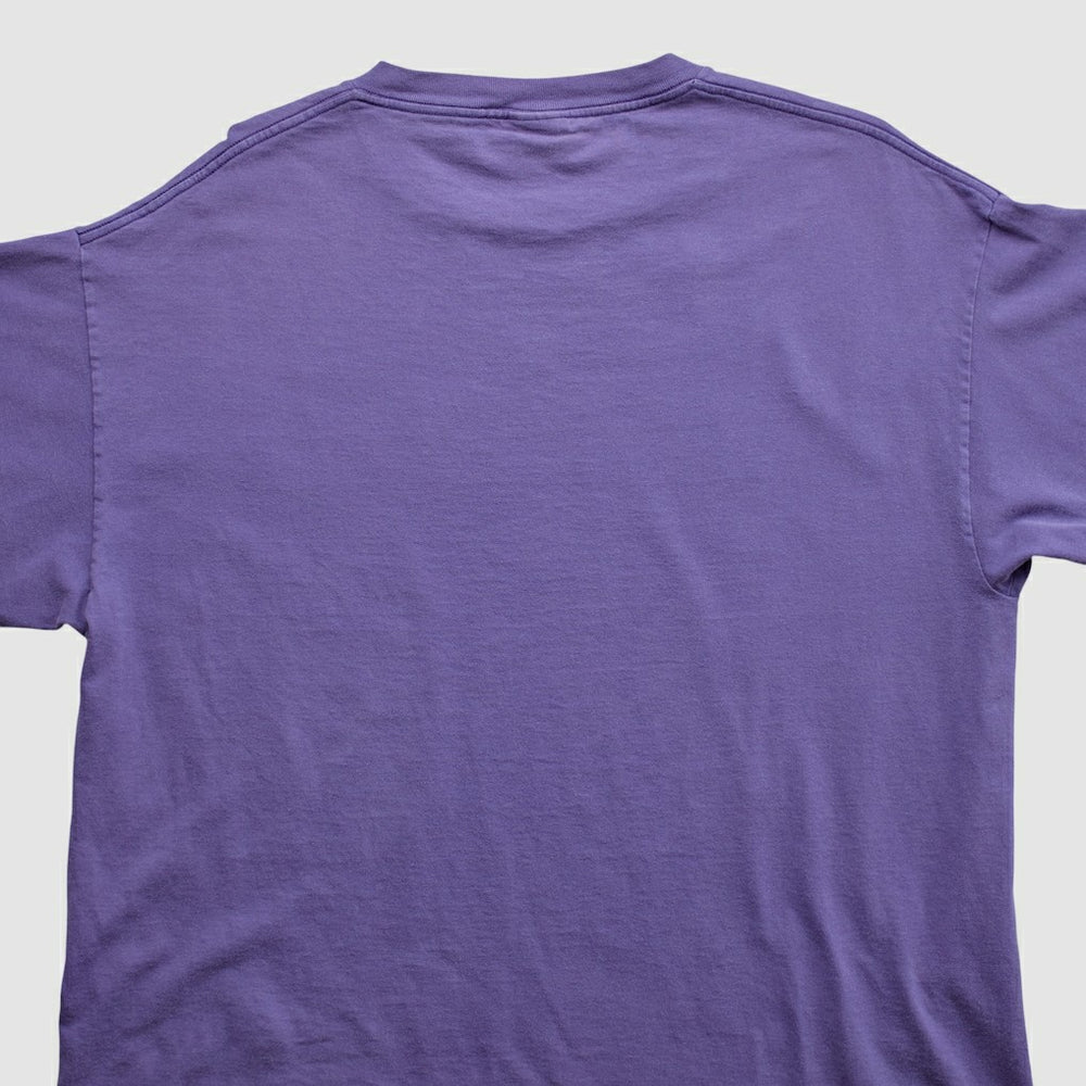 Minnesota Vikings Lee Apparel 2000s T-shirt | NFL Hot