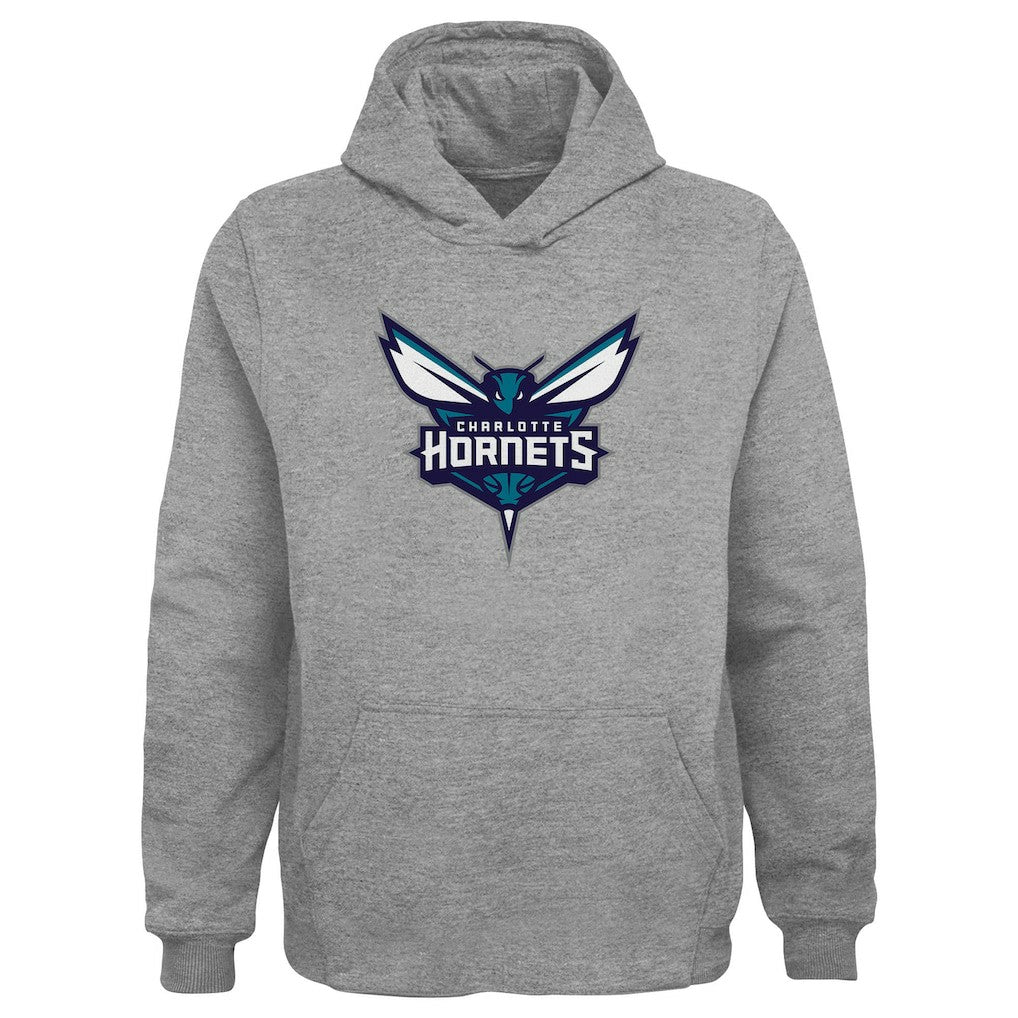 Gray Charlotte Hornets Outerstuff Youth Primary Logo Pullover Hoodie | NBA