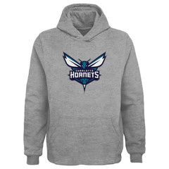 Gray Charlotte Hornets Outerstuff Youth Primary Logo Pullover Hoodie | NBA