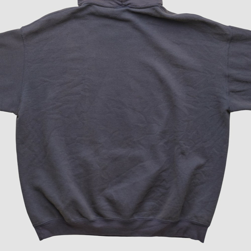 Minnesota Twins MLB 2000s Hooded Pullover Sweatshirt - MLB Pullover