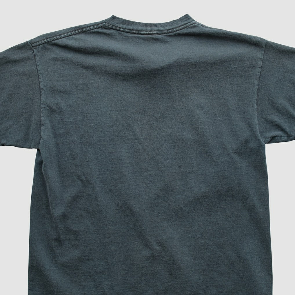 Carolina Panthers NFL 2000s T-shirt | NFL US