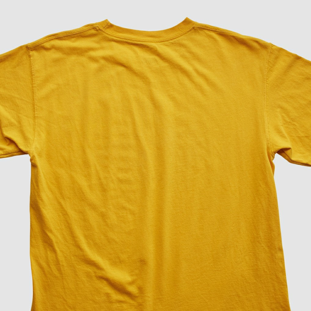 Pittsburgh Steelers NFL 2010s T-shirt | NFL New