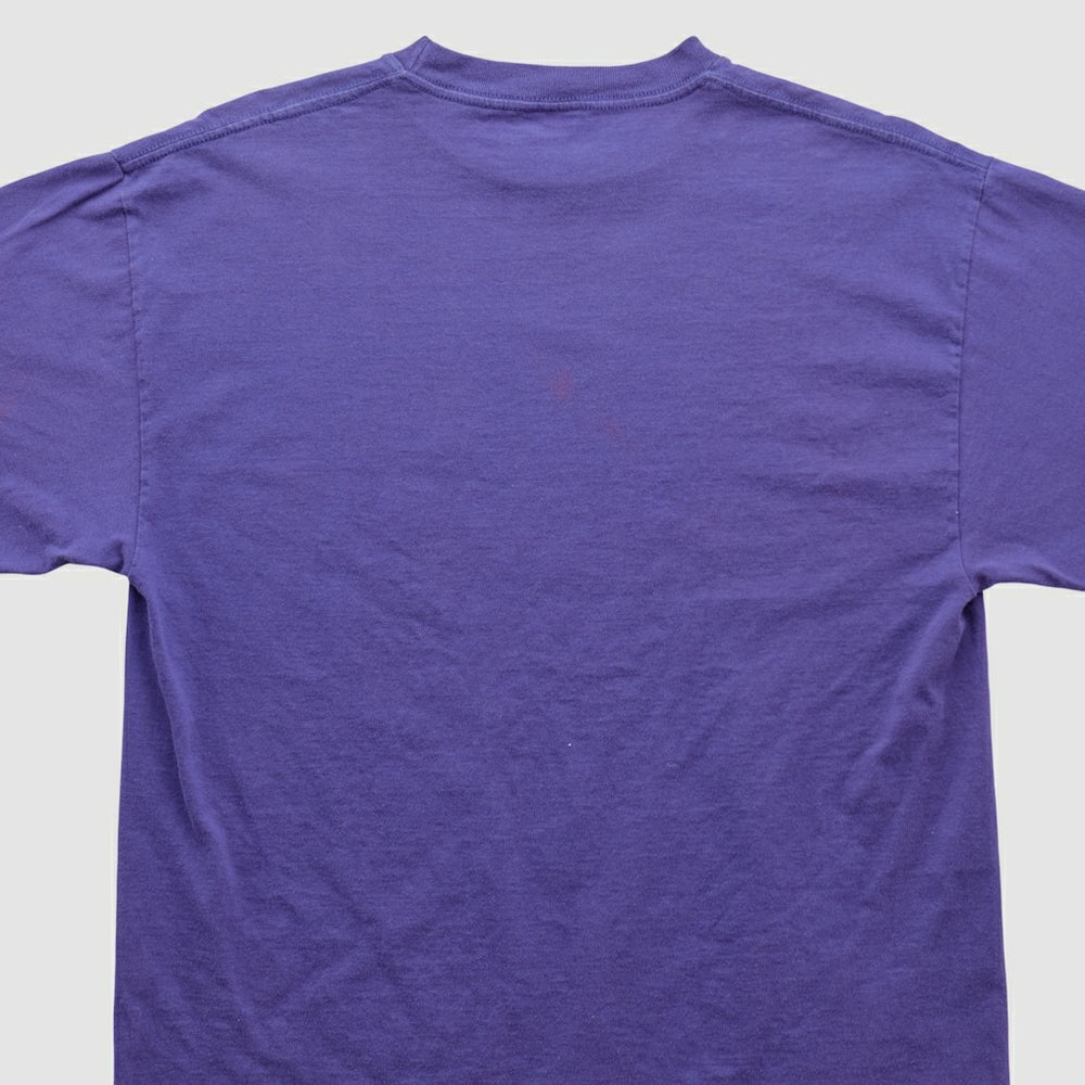 Minnesota Vikings Tultex 90s T-shirt | NFL Discount