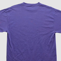 Minnesota Vikings Tultex 90s T-shirt | NFL Discount
