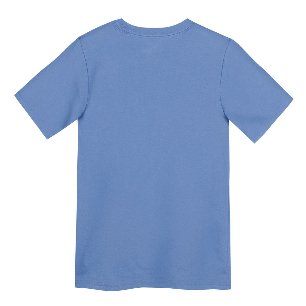Chicago Cubs Nike Preschool Electric Bear Alternate T-Shirt - MLB T-shirts