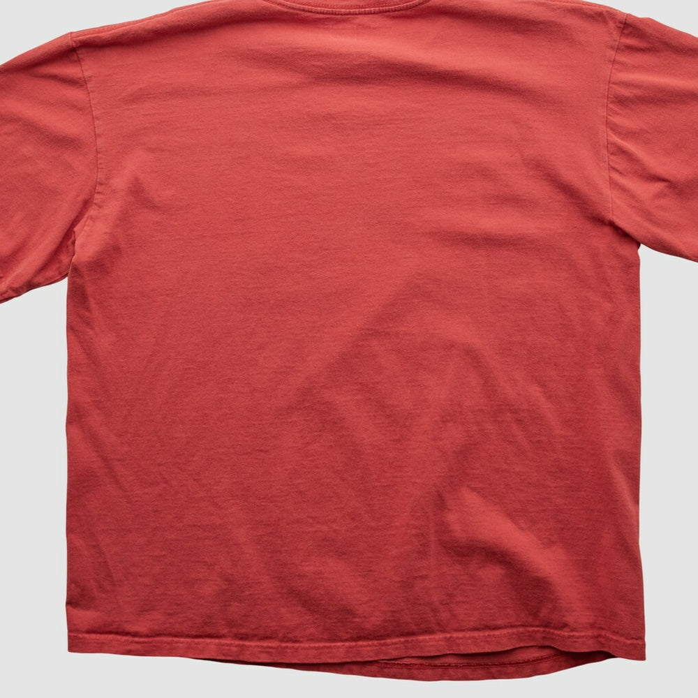 San Francisco 49ers NFL 2010s T-shirt | NFL Hot