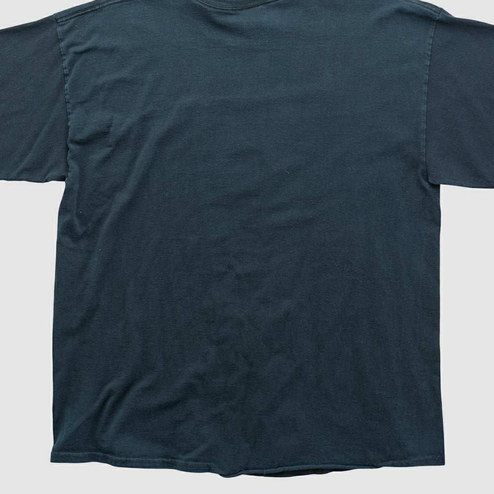 Pittsburgh Steelers NFL 2010s T-shirt | NFL On sale