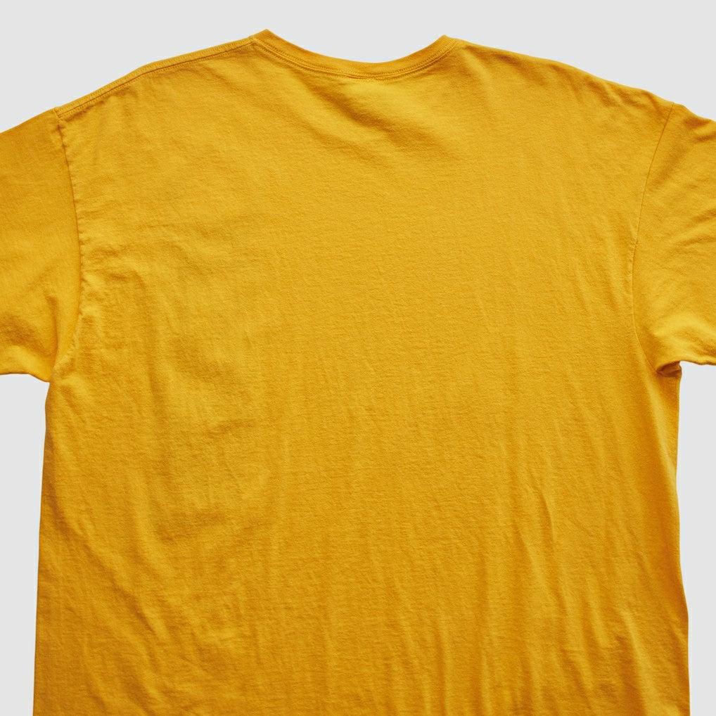Pittsburgh Steelers NFL 2010s T-shirt | NFL Discount