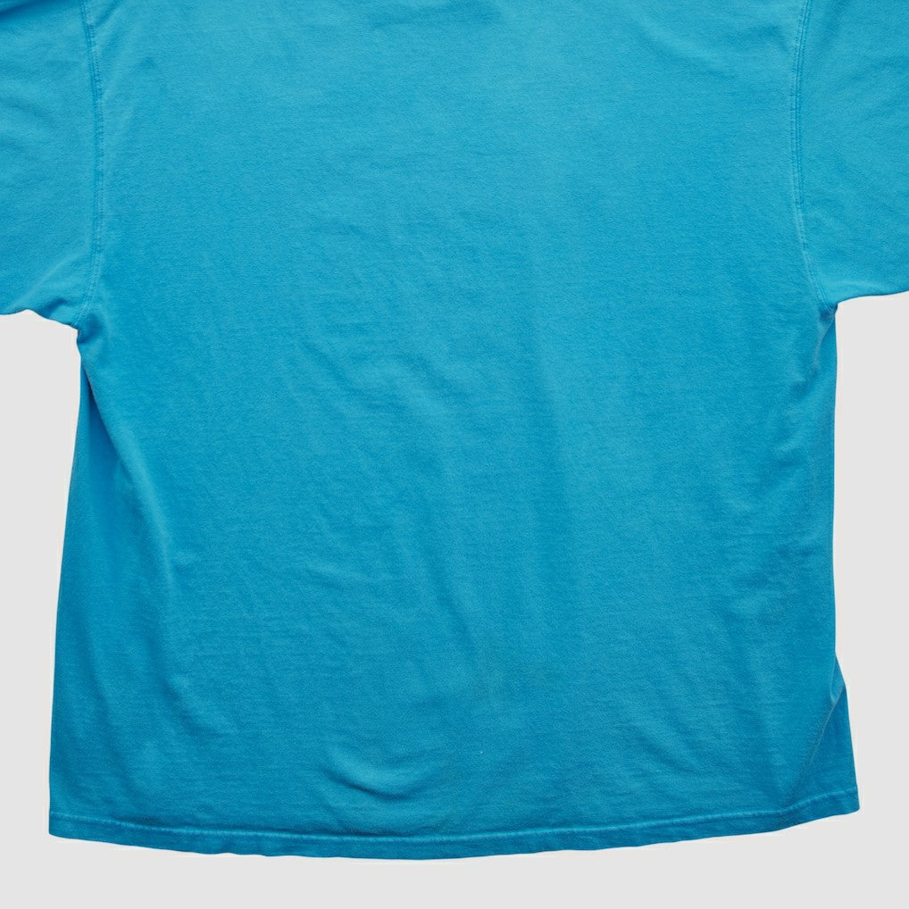 Carolina Panthers NFL 2000s T-shirt | NFL Near me