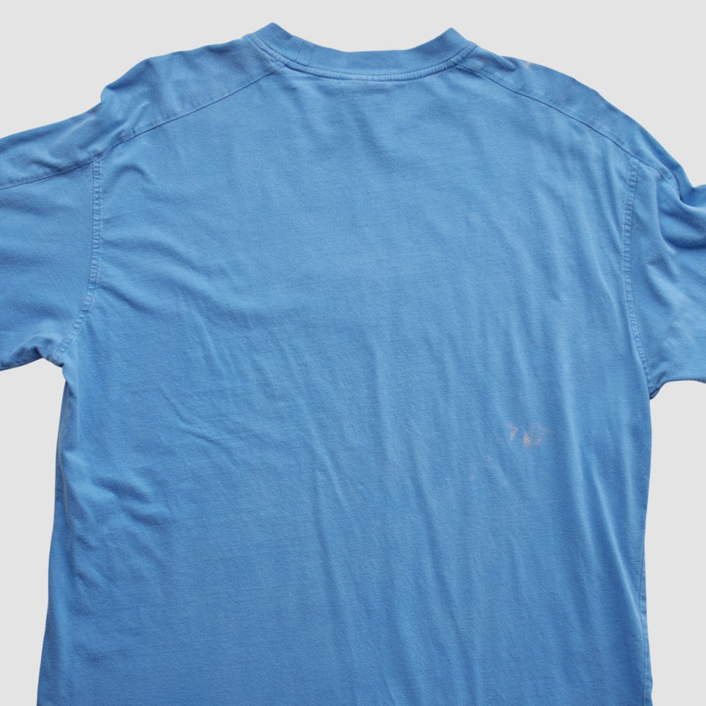 Detroit Lions NFL 2000s Long Sleeve T-shirt | NFL New