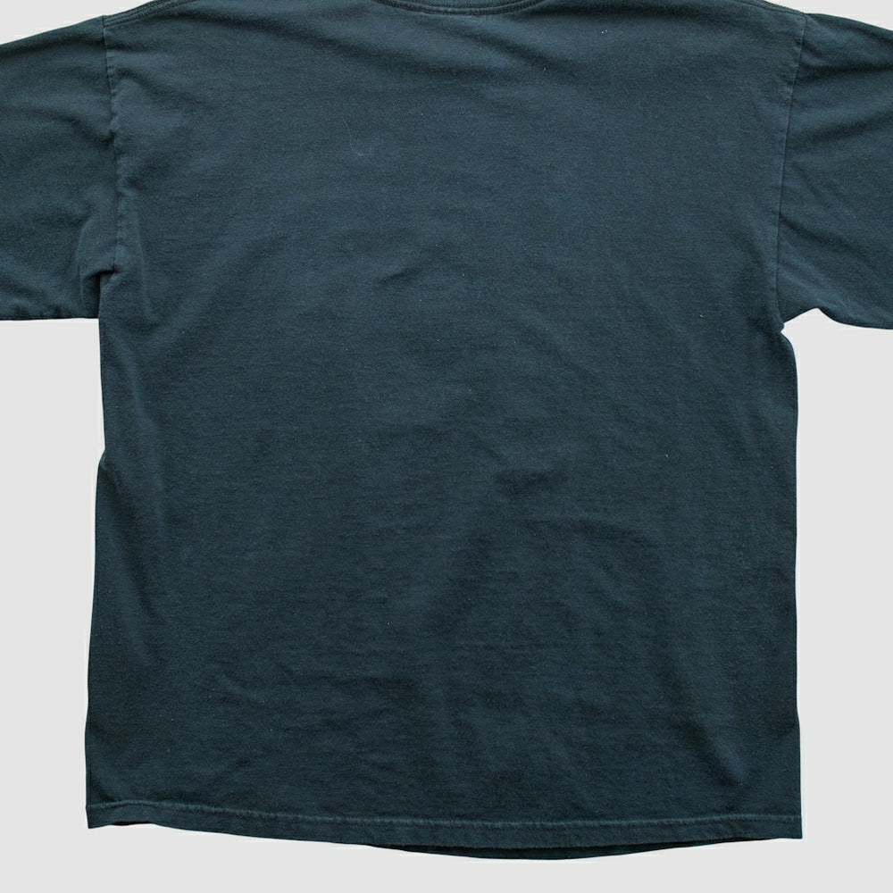 Pittsburgh Steelers NFL 2010s T-shirt | NFL Online
