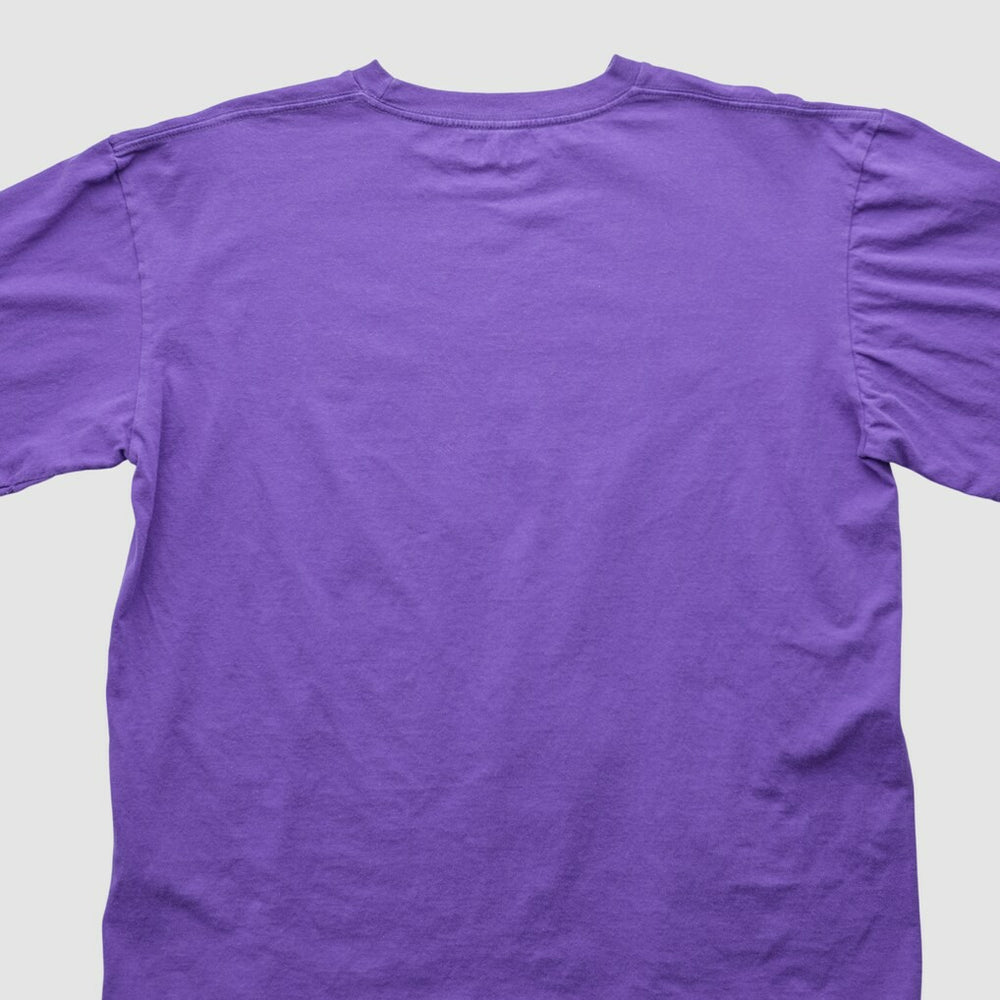 Minnesota Vikings NFL 2000s T-shirt | NFL Sale