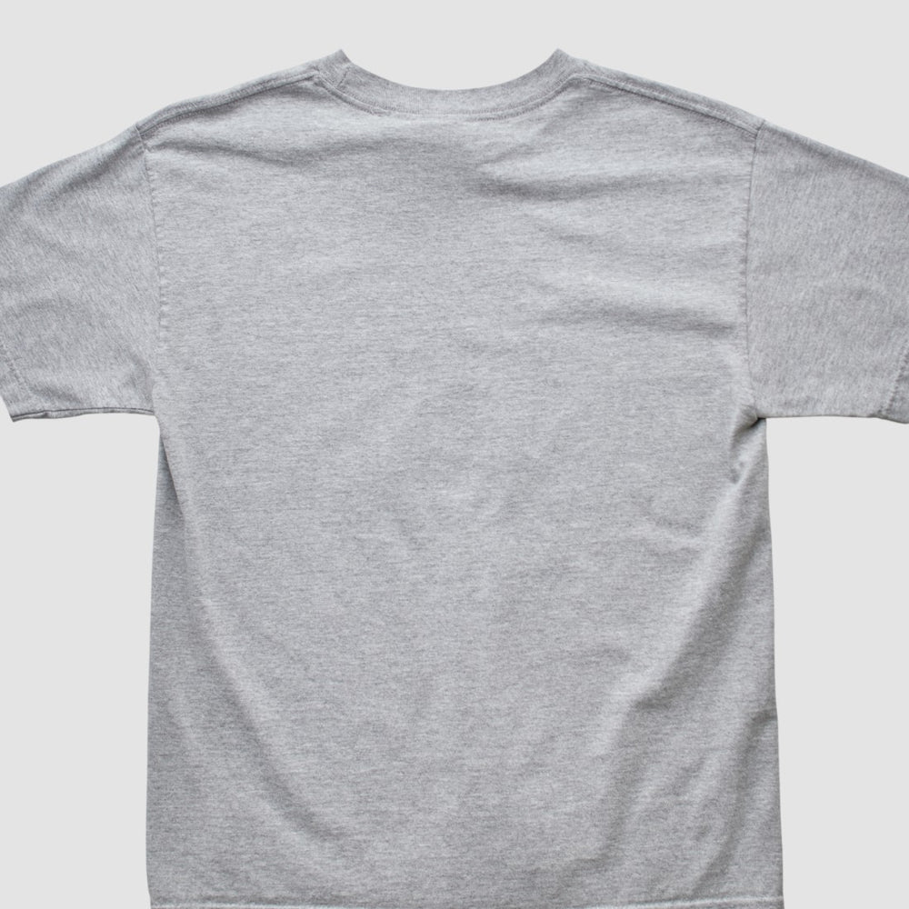 Denver Broncos NFL 2000s T-shirt | NFL On sale