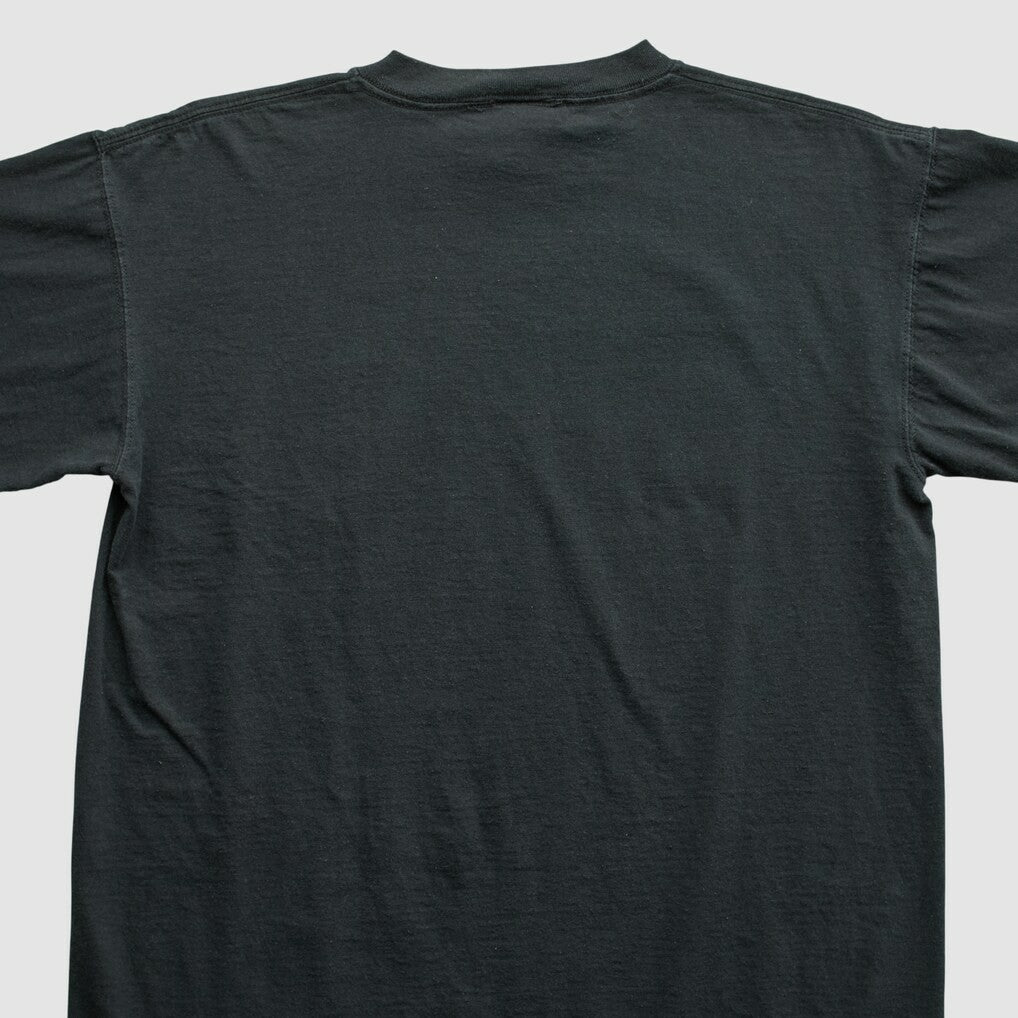 Pittsburgh Steelers NFL 2000s T-shirt | NFL Hot