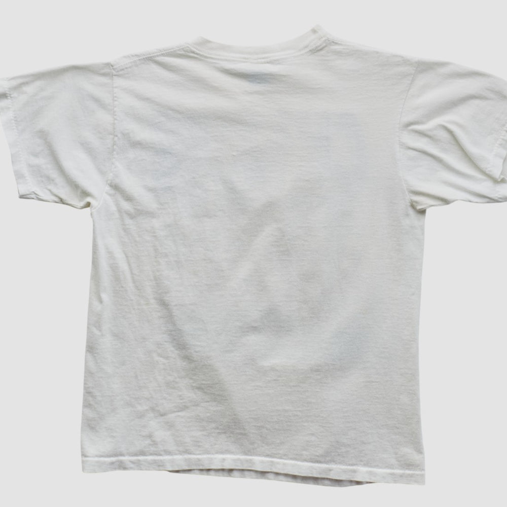 Dallas Cowboys Salem Sportswear 1993 T-shirt | NFL Near me
