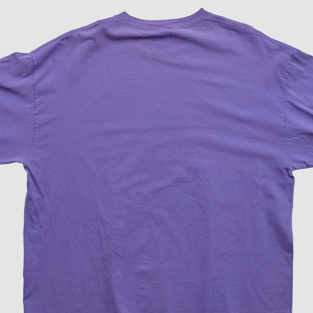Minnesota Vikings NFL 2010s Long Sleeve T-shirt | NFL Discount
