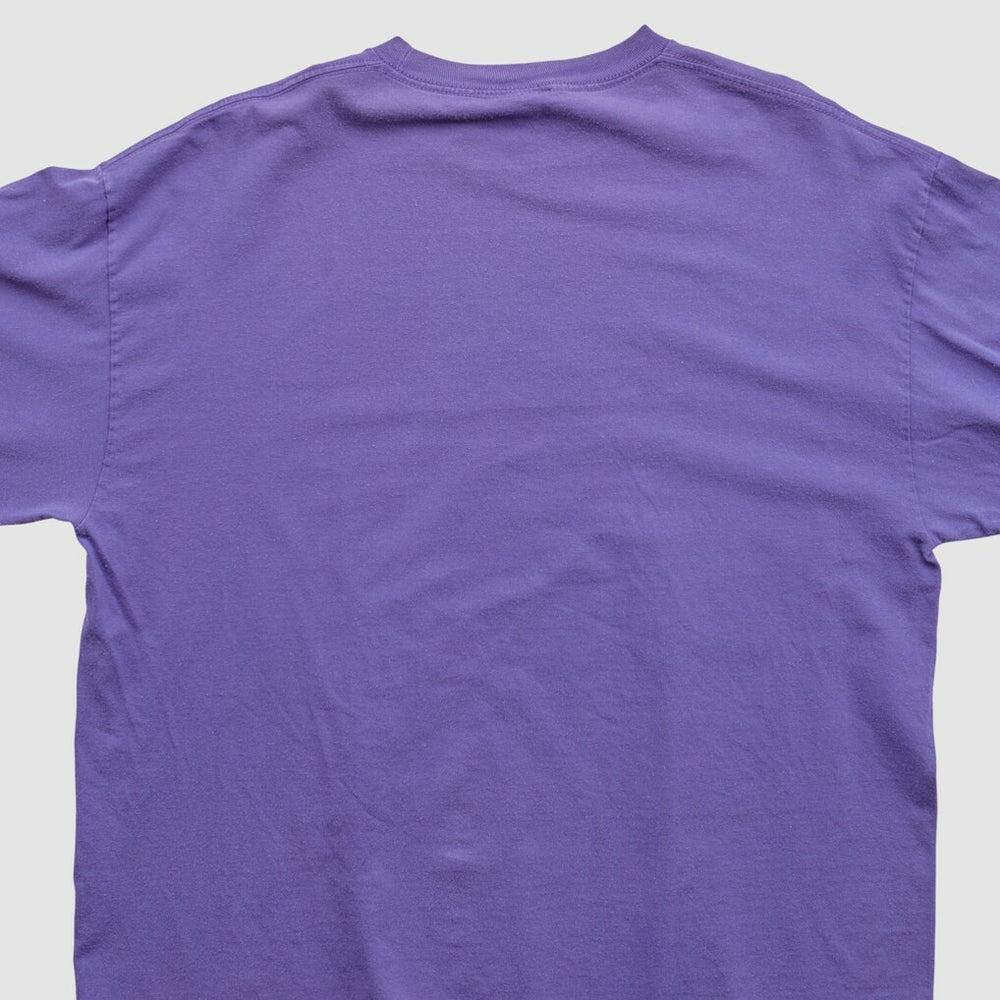 Minnesota Vikings NFL 2010s Long Sleeve T-shirt | NFL Discount