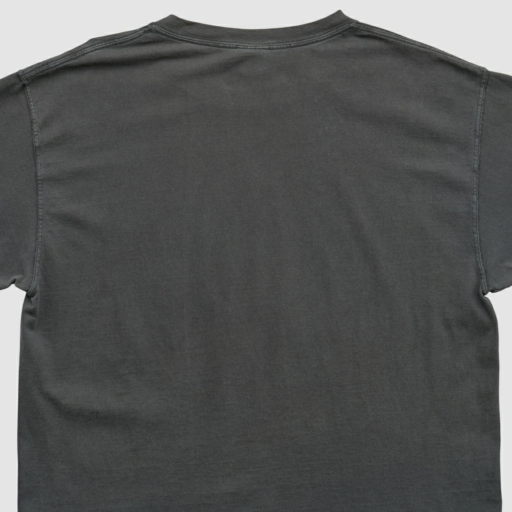 Pittsburgh Steelers NFL 2000s T-shirt | NFL Hot