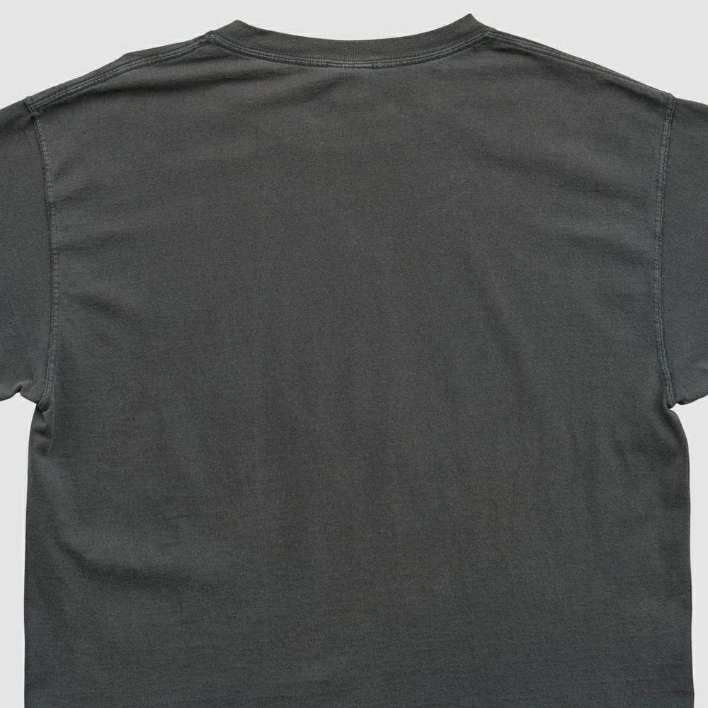 Pittsburgh Steelers NFL 2000s T-shirt | NFL Hot