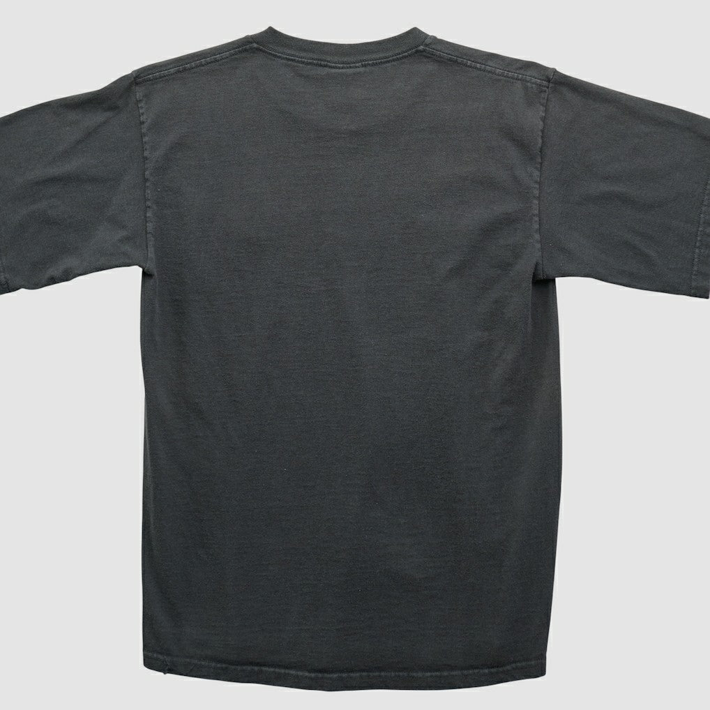 Pittsburgh Steelers NFL 2000s T-shirt | NFL Hot