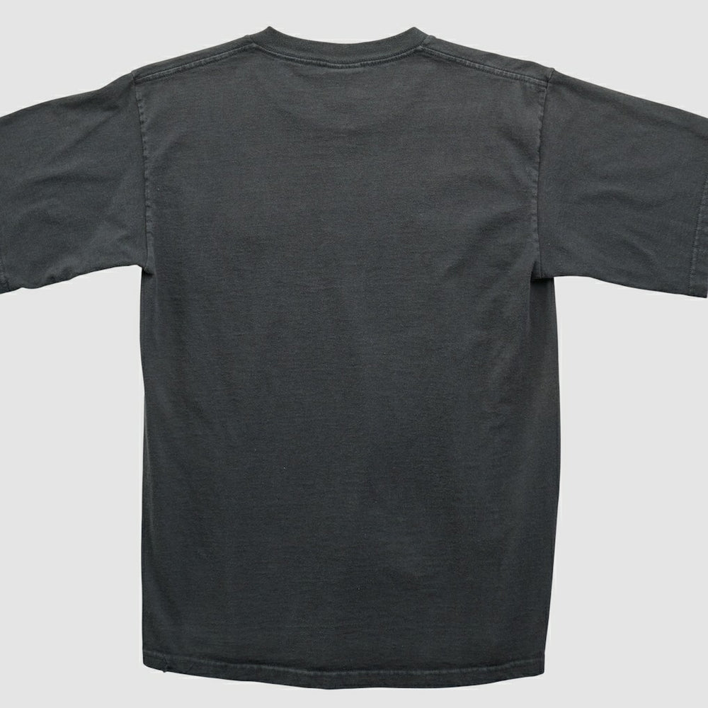Pittsburgh Steelers NFL 2000s T-shirt | NFL Hot