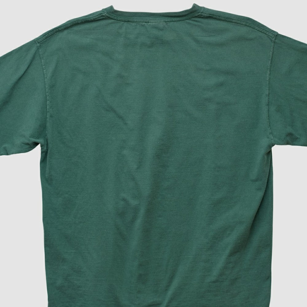 Tampa Bay Rays Lee Sport T-shirt - MLB T-shirts