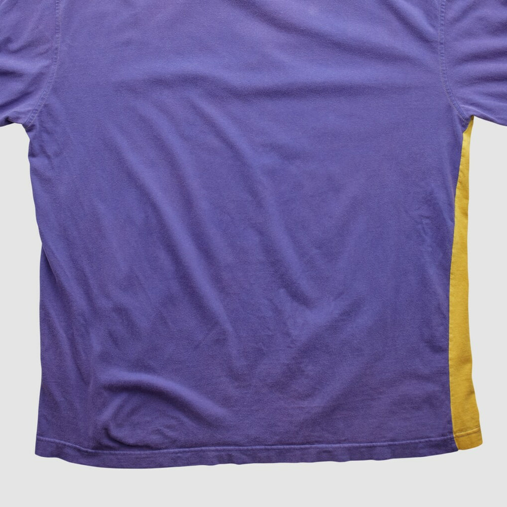 Minnesota Vikings NFL 2000s Long Sleeve T-shirt | NFL New