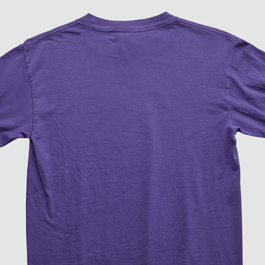 Minnesota Vikings Adrian Peterson NFL 2000s Long Sleeve T-shirt | NFL Near me