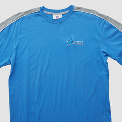 Detroit Lions NFL 2000s T-shirt | NFL On sale