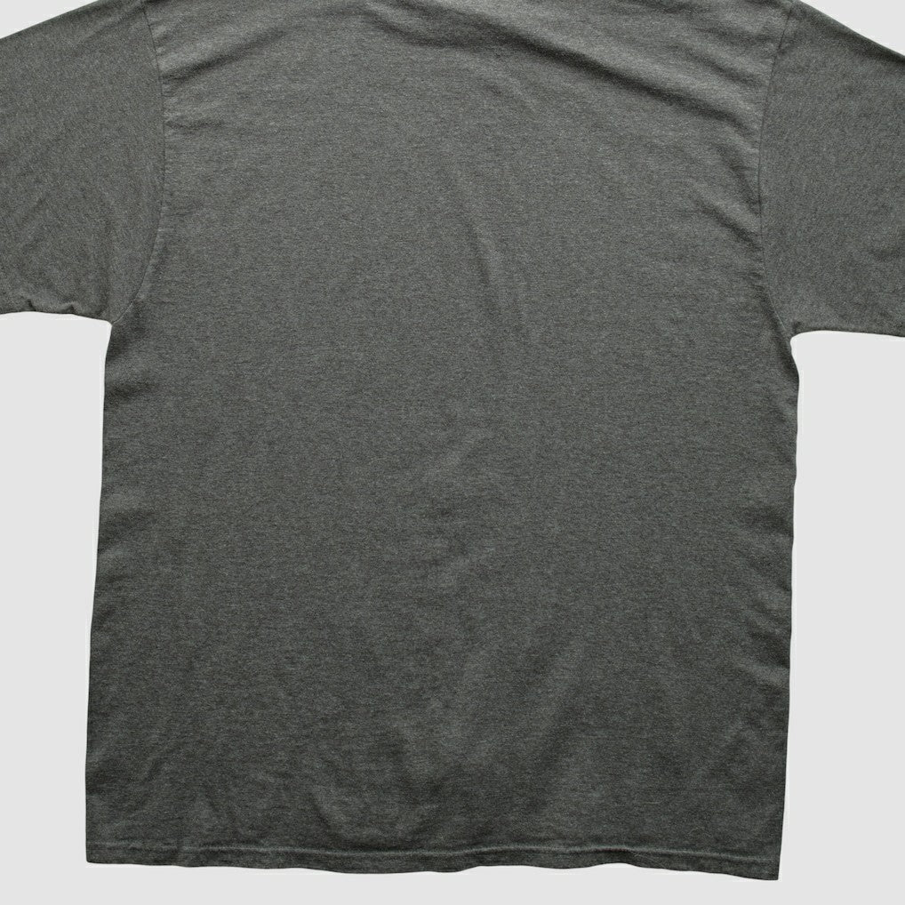 Pittsburgh Steelers NFL 2010s T-shirt | NFL Discount