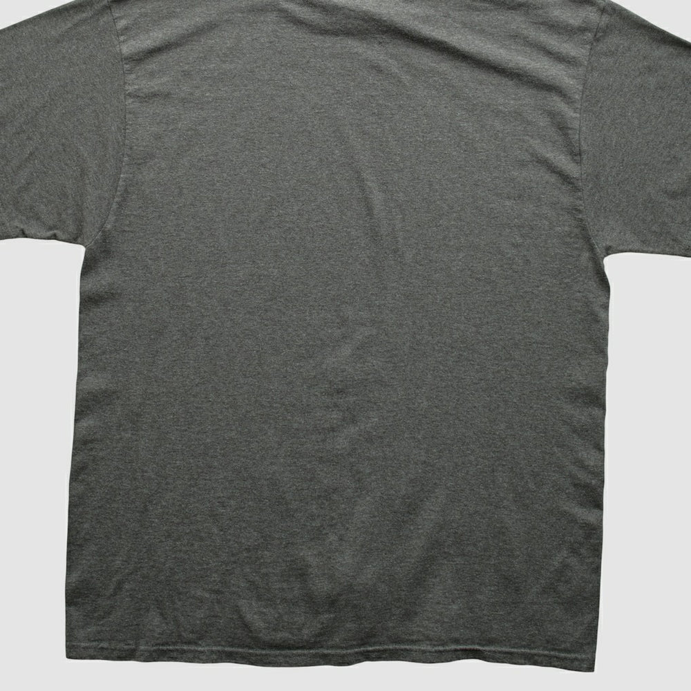 Pittsburgh Steelers NFL 2010s T-shirt | NFL Discount