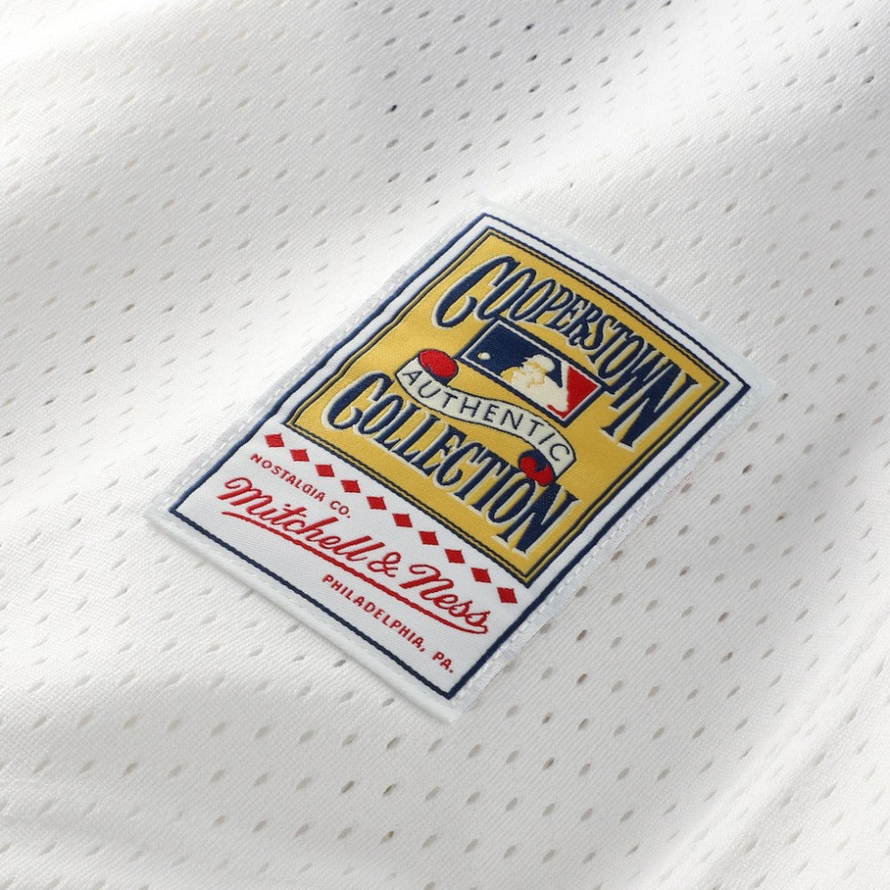 Carlton Fisk Chicago White Sox Mitchell & Ness Authentic Batting Practice Jersey - MLB Jerseys
