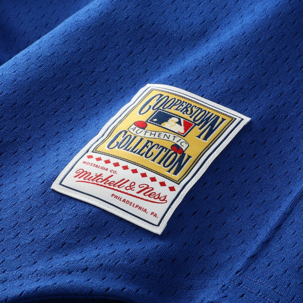 Ken Griffey Jr. Seattle Mariners Mitchell & Ness Authentic Batting Practice Jersey - MLB Jerseys