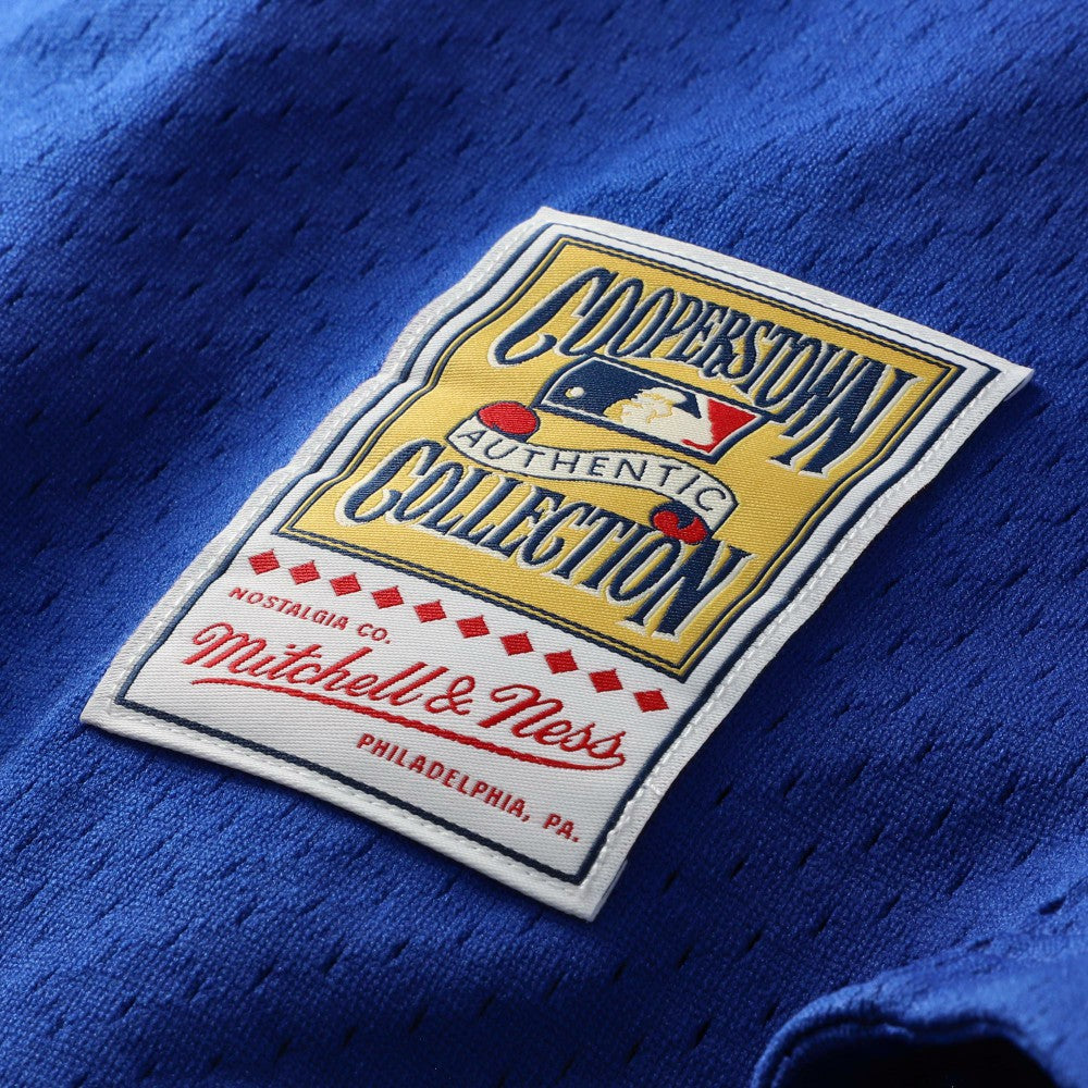 Mike Piazza Los Angeles Dodgers Mitchell & Ness Cooperstown Collection Mesh Batting Practice Button-Up Jersey - MLB Jerseys