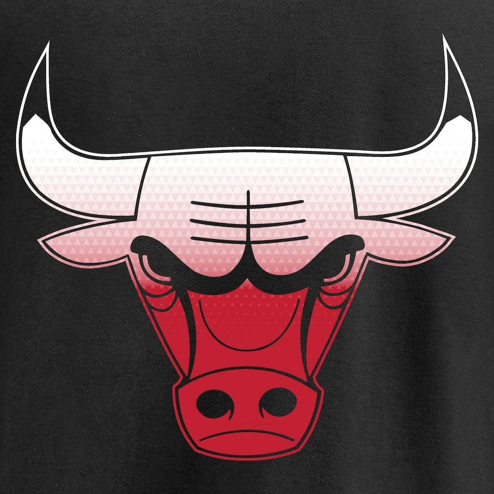 Black Chicago Bulls Gradient Logo T-Shirt sale | NBA