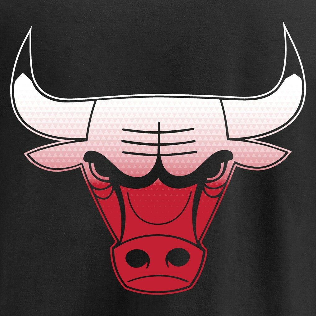 Black Chicago Bulls Gradient Logo Pullover Hoodie | NBA
