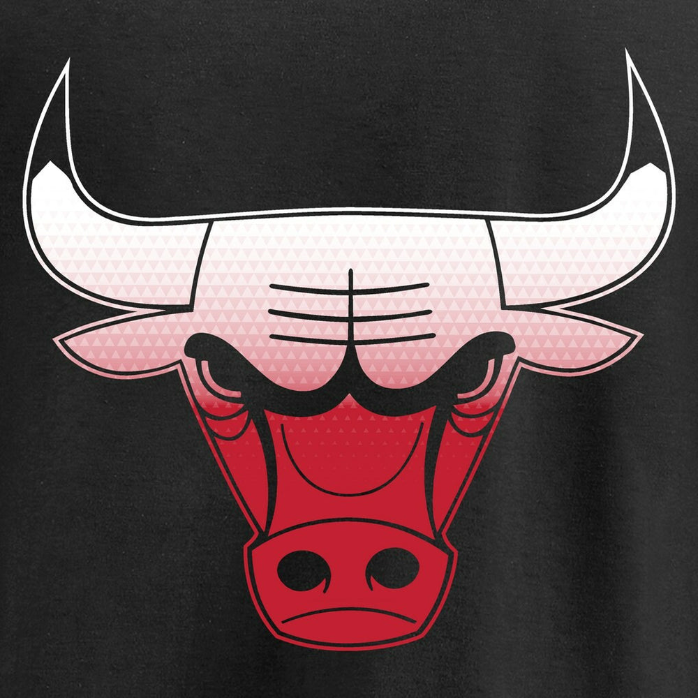 Black Chicago Bulls Gradient Logo Pullover Hoodie | NBA