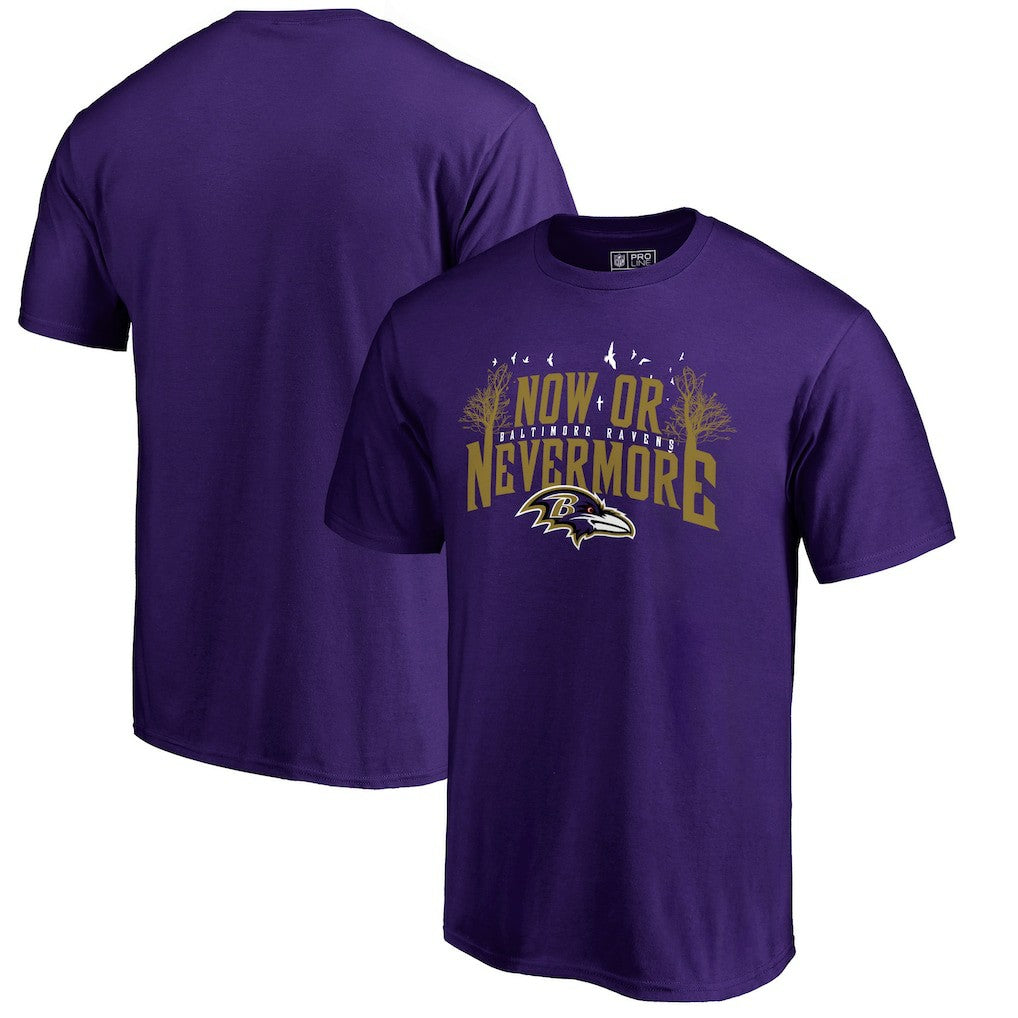 Baltimore Ravens Hometown Collection T-Shirt | NFL Near me