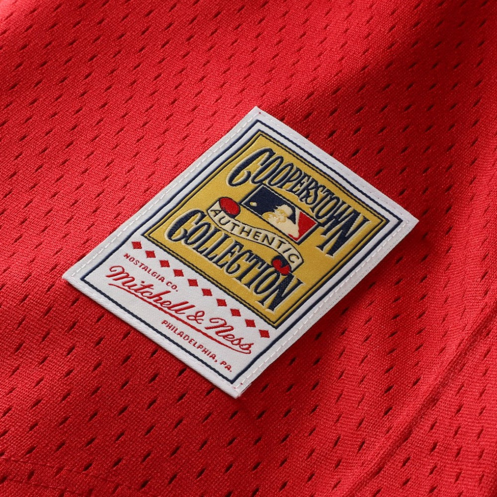 Ozzie Smith St. Louis Cardinals Mitchell & Ness Youth Cooperstown Collection Mesh Batting Practice Jersey - MLB Jerseys
