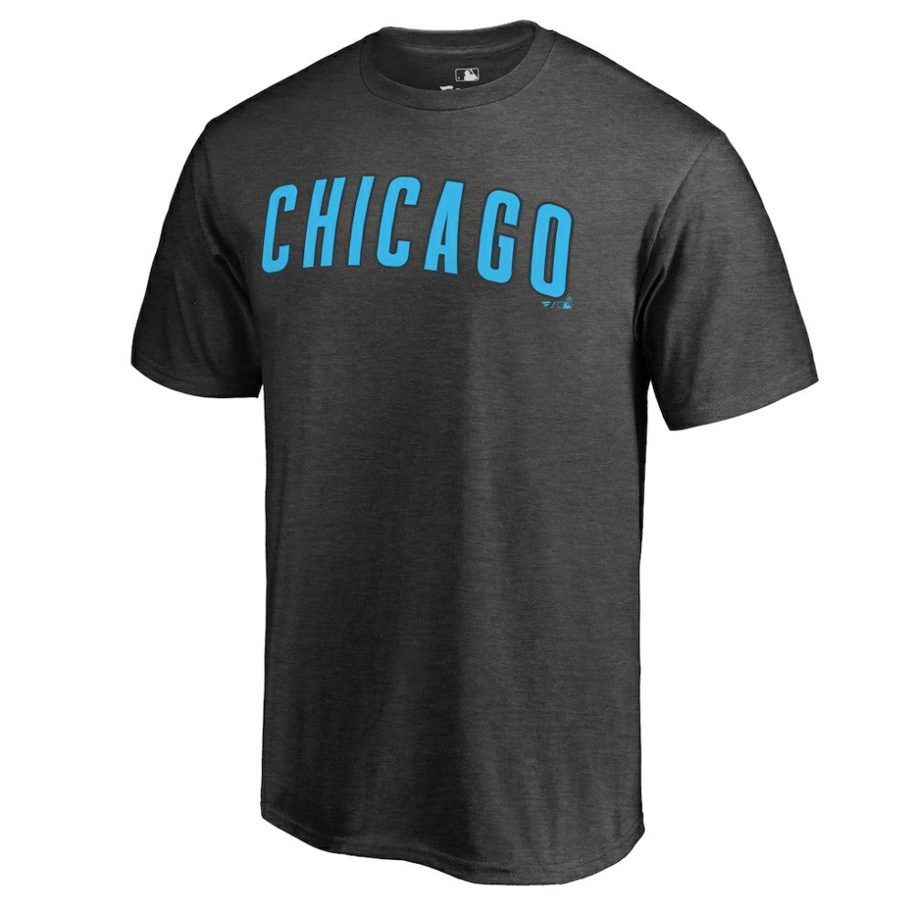 Chicago Cubs Blue Wordmark T-Shirt - MLB T-shirts