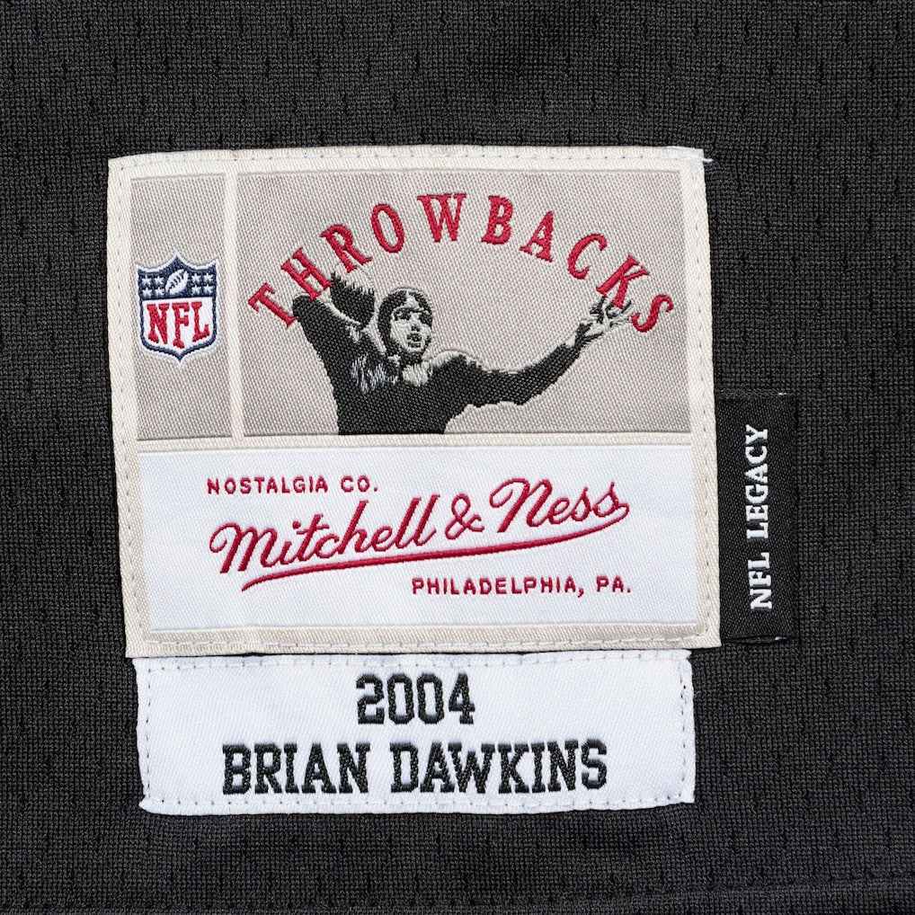 Philadelphia Eagles Brian Dawkins  Legacy Replica Jersey | NFL New