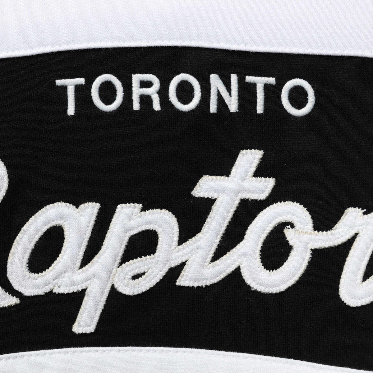 Purple/Black Toronto Raptors Head Coach Pullover Hoodie | NBA