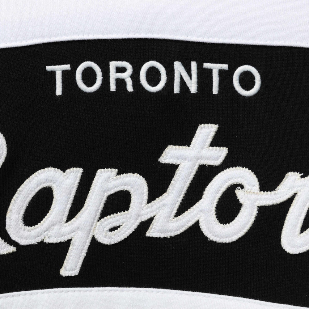Purple/Black Toronto Raptors Head Coach Pullover Hoodie | NBA