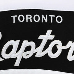 Purple/Black Toronto Raptors Head Coach Pullover Hoodie | NBA