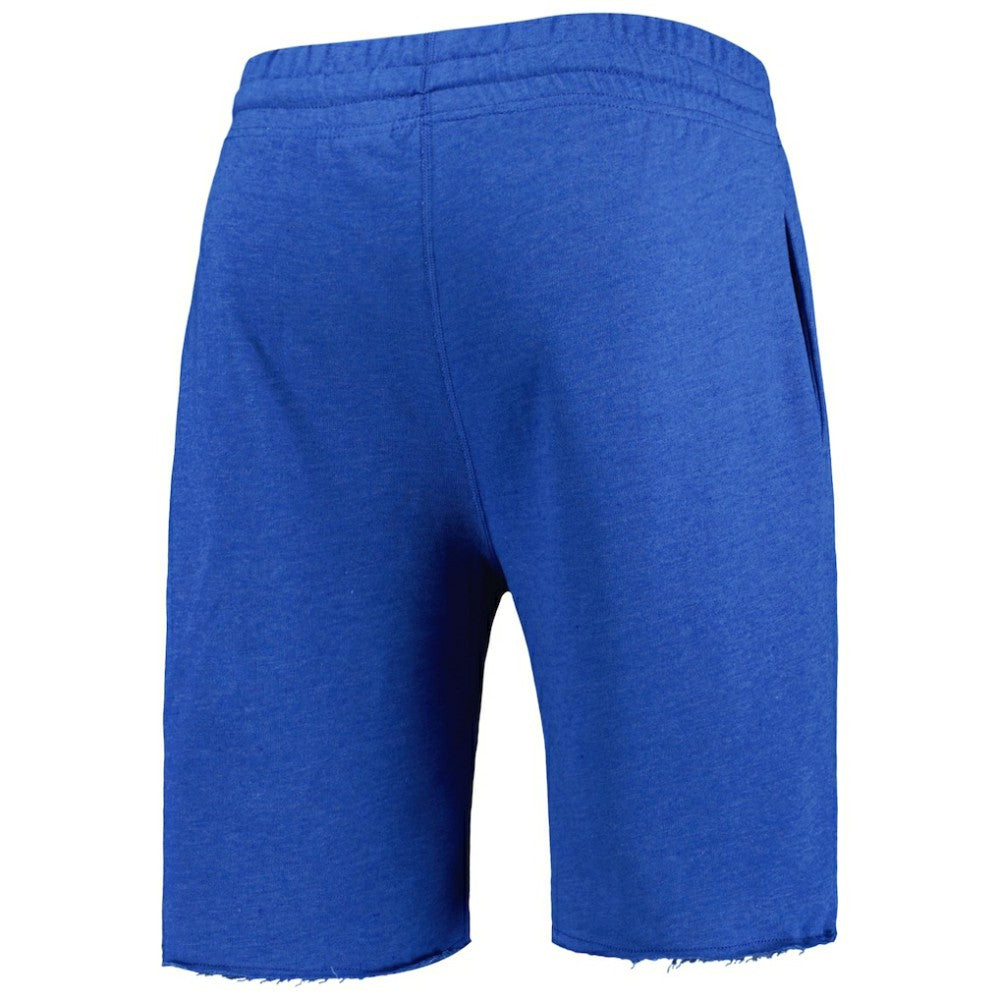 Chicago Cubs Concepts Sport Mainstream Terry Shorts - MLB Shorts