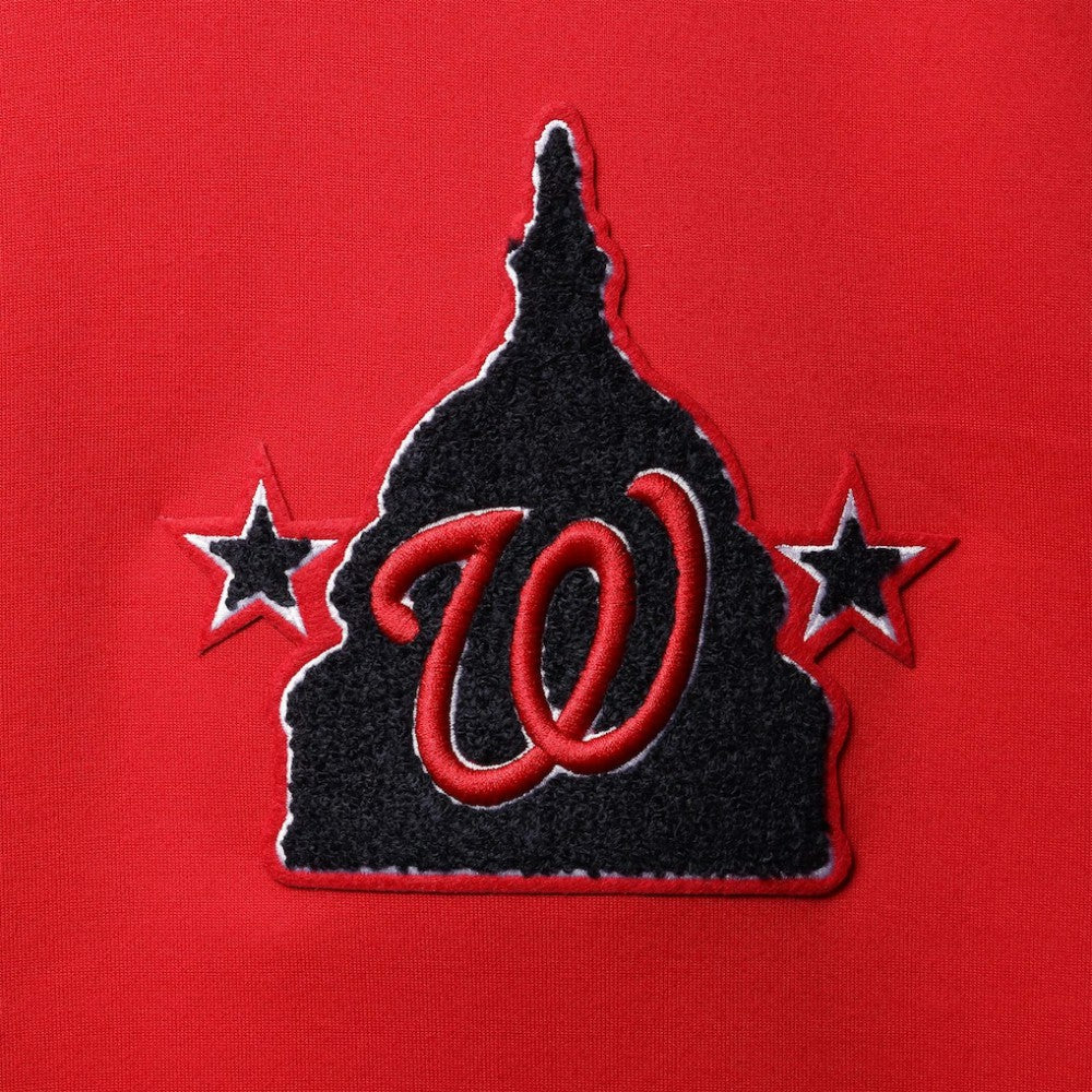 Washington Nationals Pro Standard Logo Pullover Hoodie - MLB Hoodies