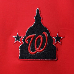 Washington Nationals Pro Standard Logo Pullover Hoodie - MLB Hoodies
